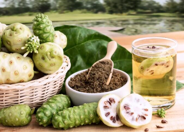 Morinzhi en Capsules et Jus : Un Duo Puissant pour une Santé Optimale