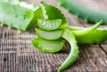 Un Éclat Naturel : Découvrez les Bienfaits du Gommage à l'Aloe Vera