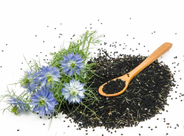 Le Cumin Noir : Un Trésor Méconnu aux Bienfaits Multiples