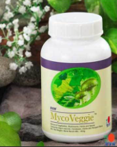 Découvrez le MycoVeggie de DXN : Une Révolution dans la Nutrition Végétale