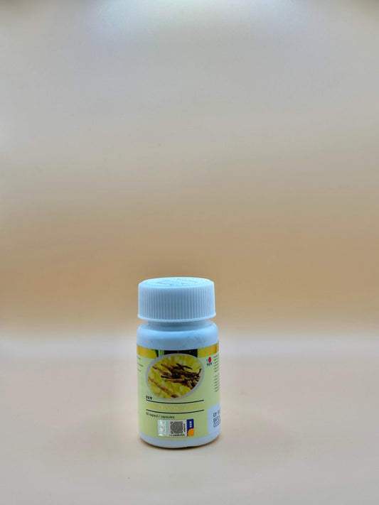 Cordyceps 60 CAPSULES