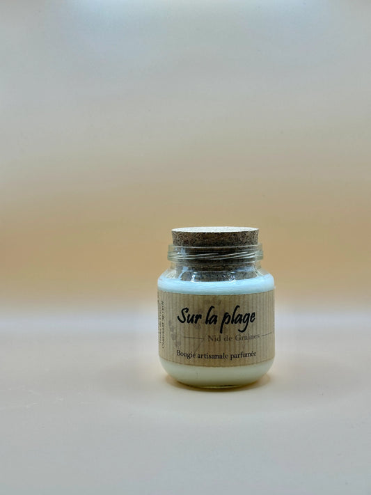 Bougie végétale parfumée