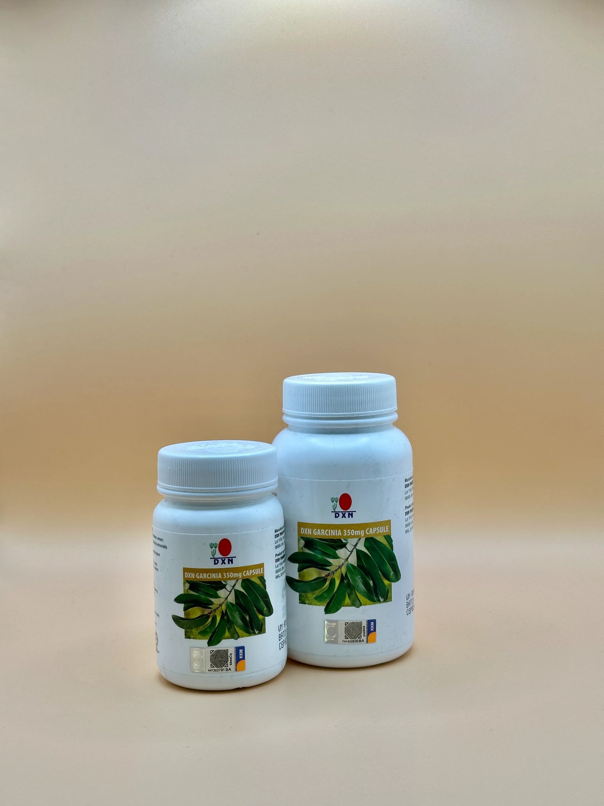 GARCINIA 90 et 30