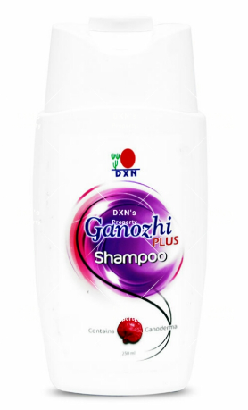 Shampoing Ganozhi plus
